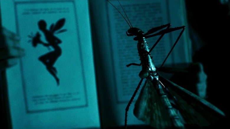 Stickbug looking at book