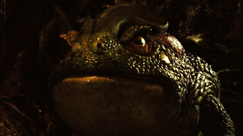 Giant toad scowling