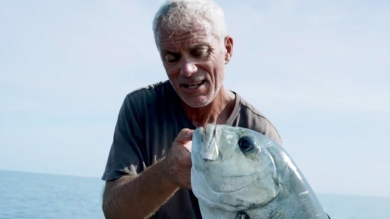 River Fishing with Jeremy Wade