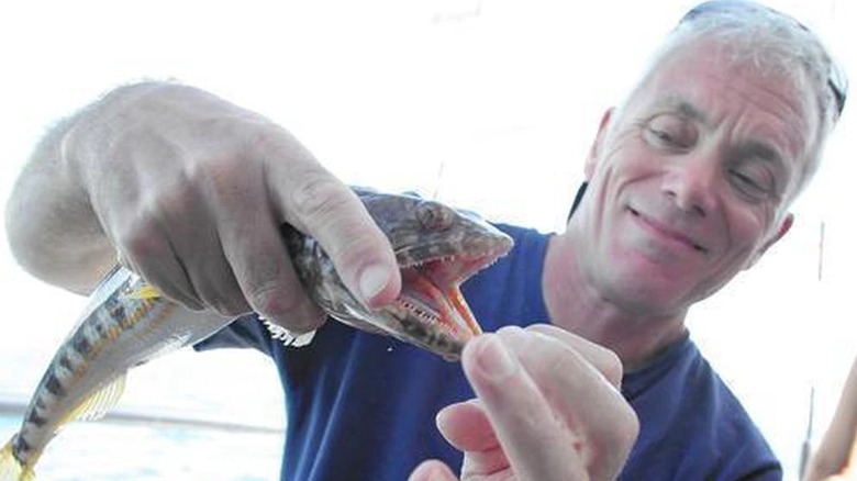 Jeremy Wade bitten by fish