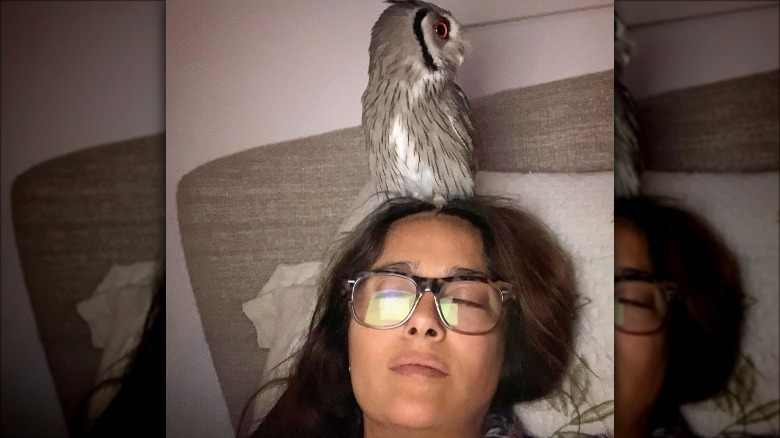 Salma Hayek with an owl on her head