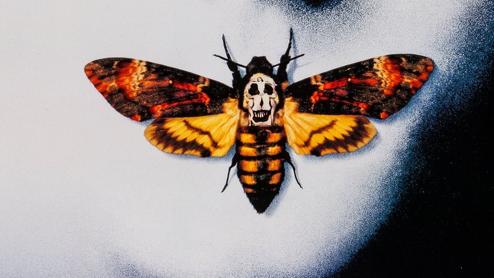 The Death's Head moth from The Silence of the Lambs poster