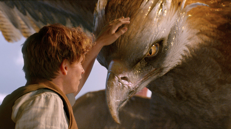 Eddie Redmayne greeting a winged beast