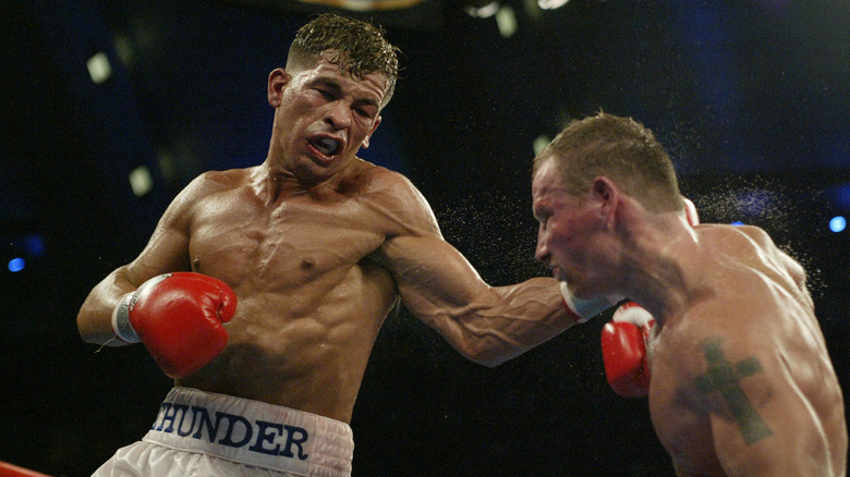 Gatti and Ward boxing 