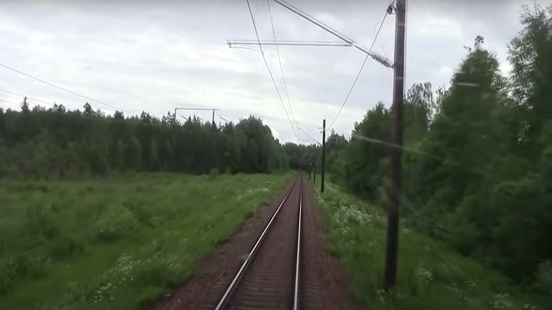 Train tracks surrounded by woods