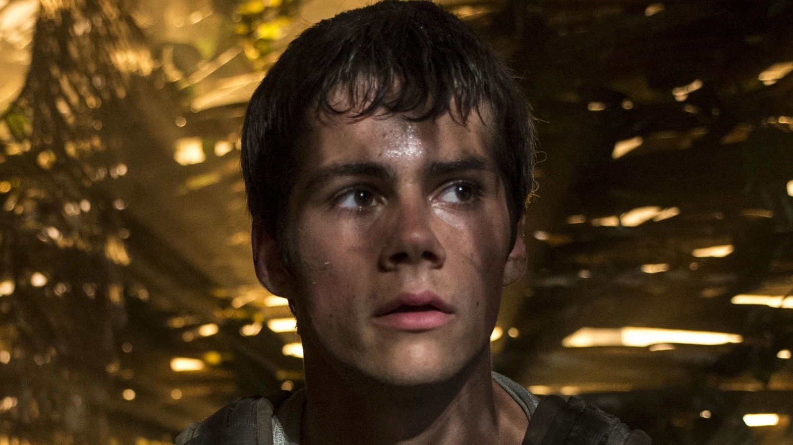 10 Big Differences Between The Maze Runner Book And Movie