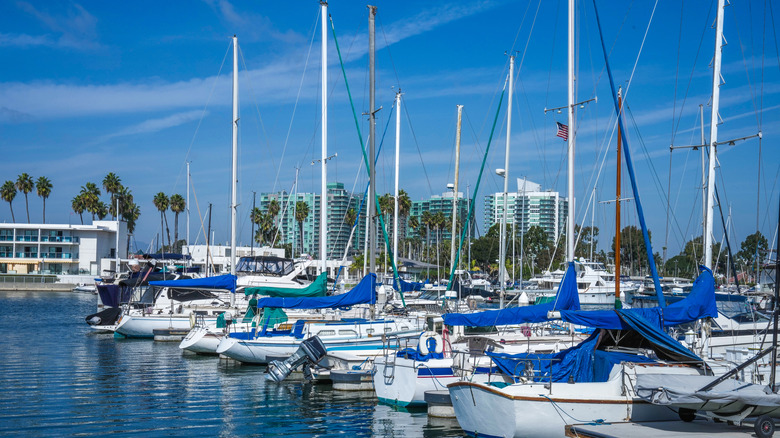 Boats in Marina del Rey