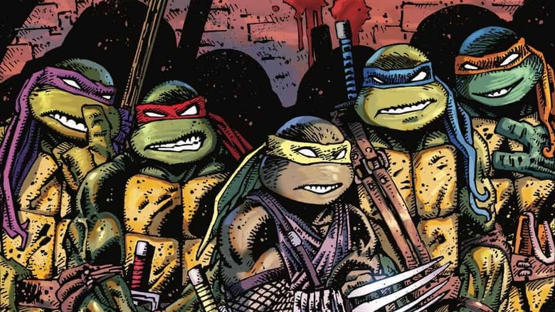 Teenage Mutant Ninja Turtles plus Jennika