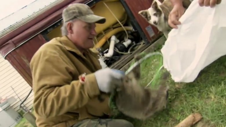 Turtleman traps animal