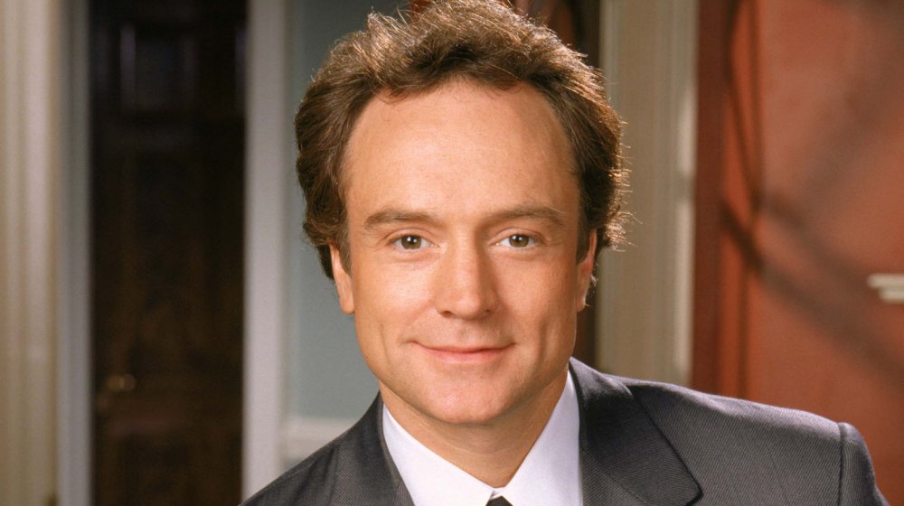 Bradley Whitford in The West Wing