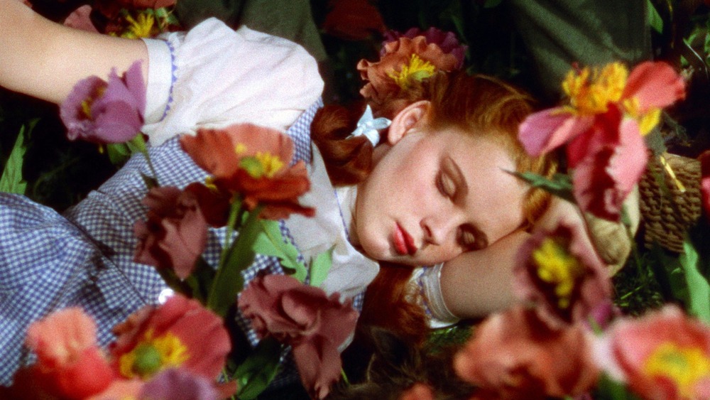 Dorothy sleeping in poppy field