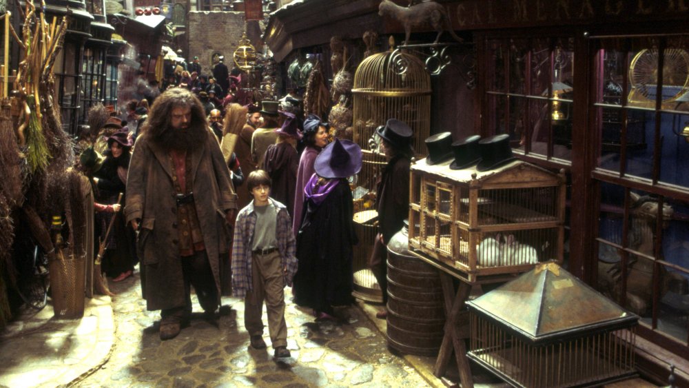 Harry Potter and the Sorcerer's Stone and Hagrid