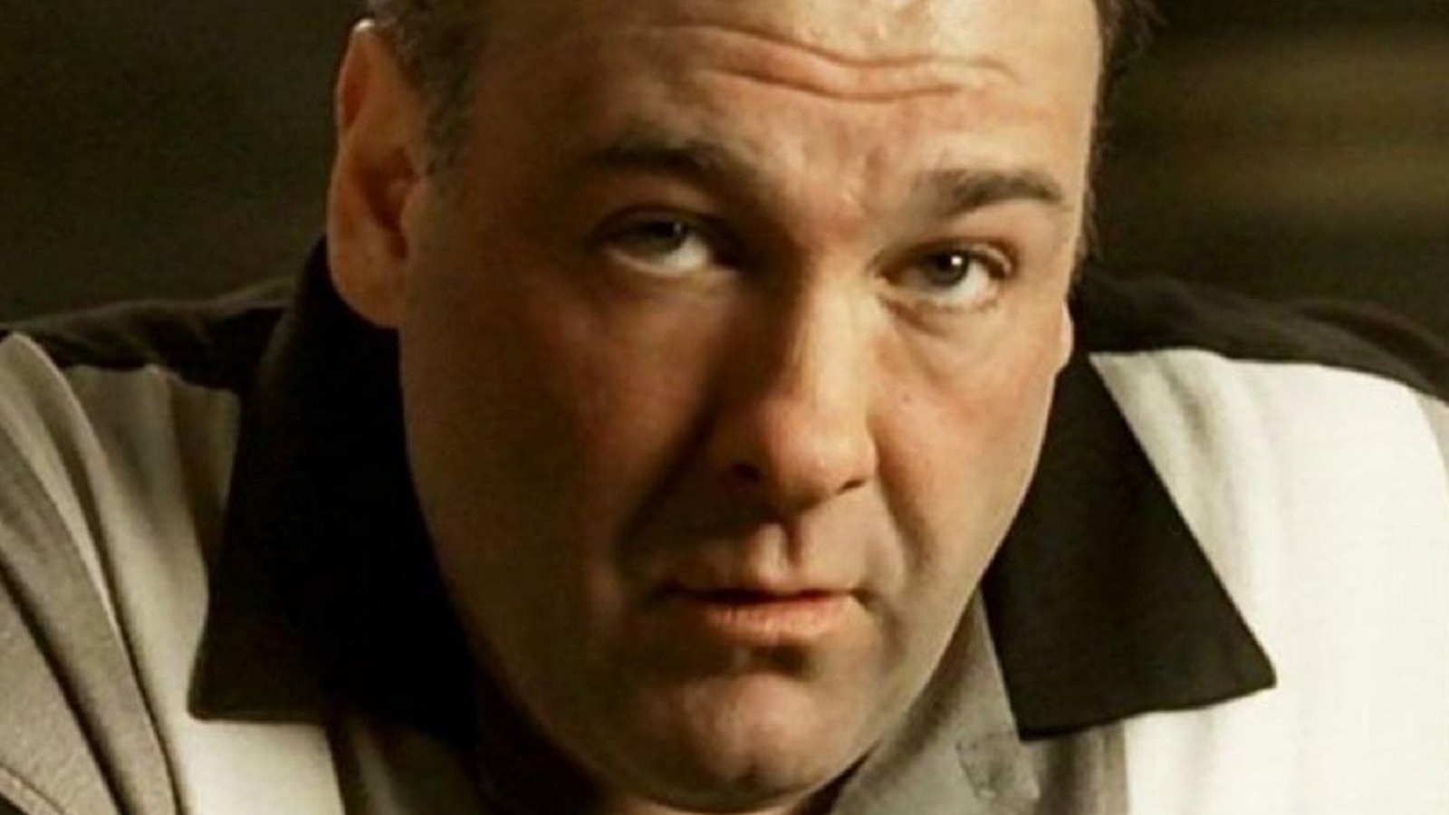 The Untold Truth Of Tony Soprano