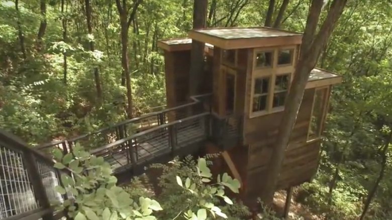 Scene from Treehouse Masters