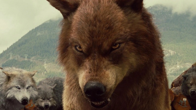 Jacob in wolf form