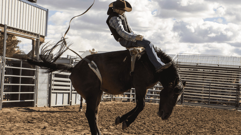 Yellowstone Jimmy Bucking Horse