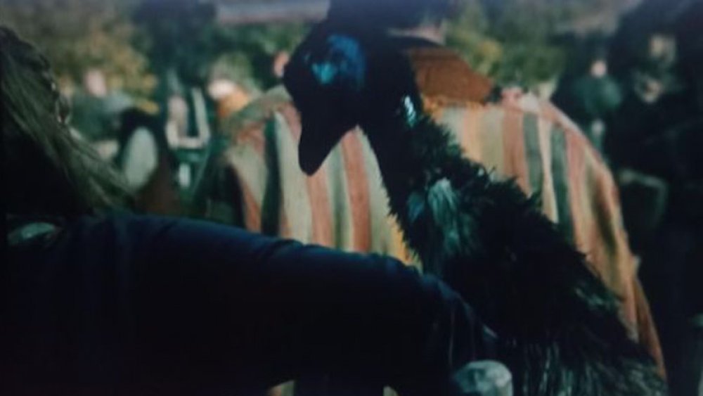 The mysterious emu from Vikings