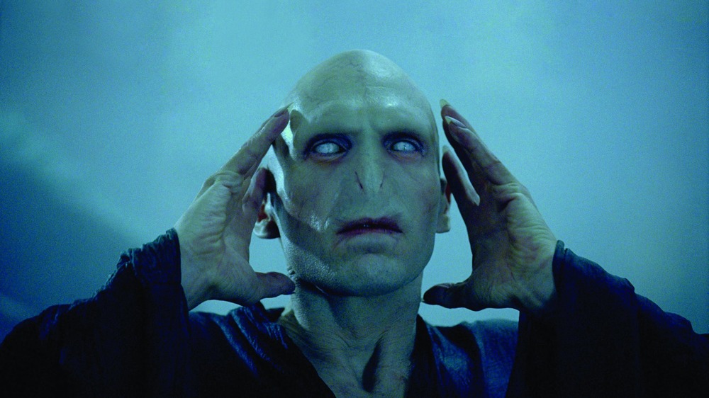 The Voldemort Plothole That Has Long-Time Harry Potter Fans Stumped