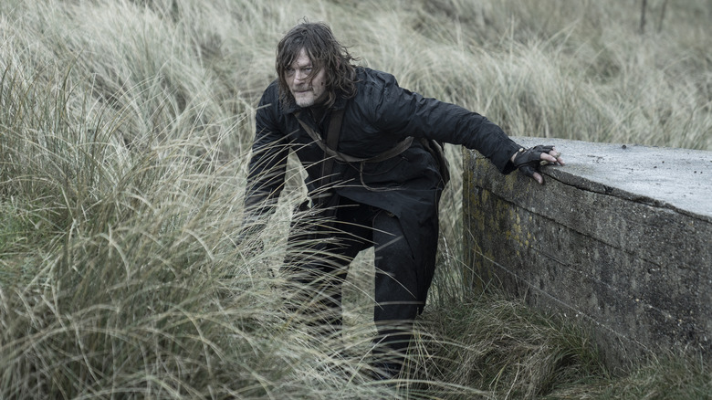 Daryl crouching in tall grass