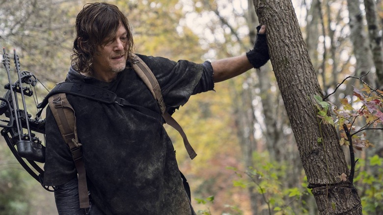 Norman Reedus as Daryl Dixon