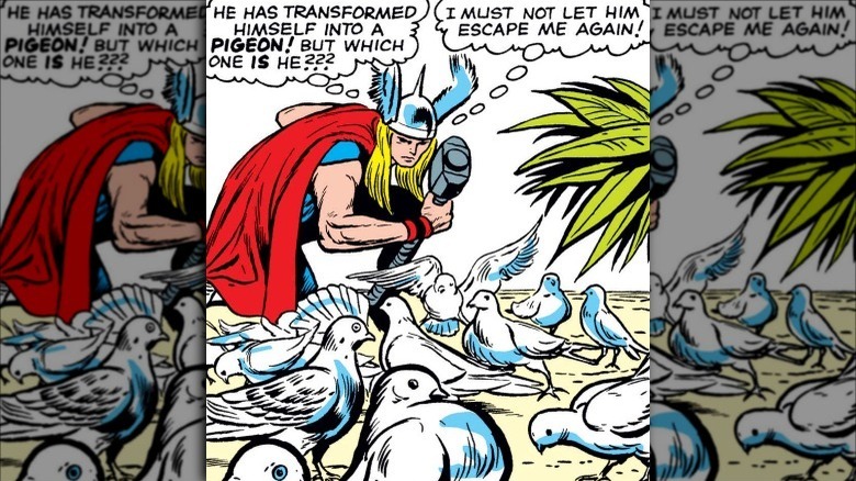 Thor thinking about pigeons