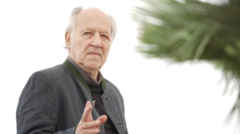 Werner Herzog and Vincent Ward