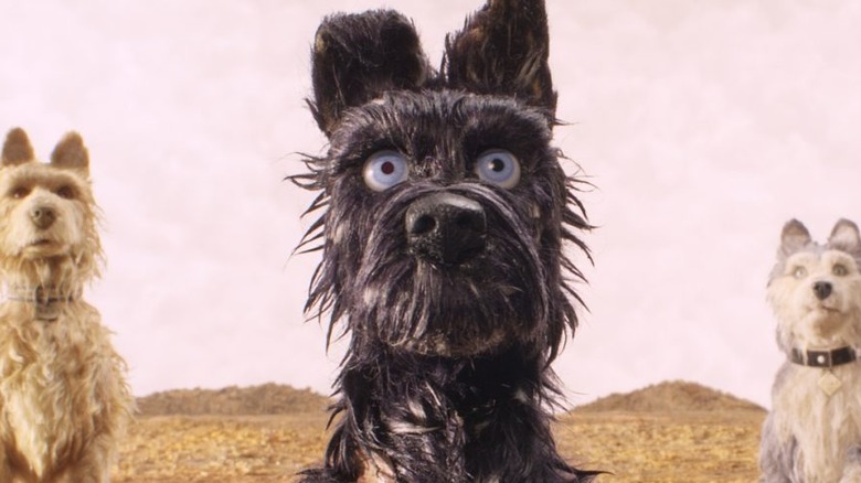 Chief wide-eyed in front of two dogs