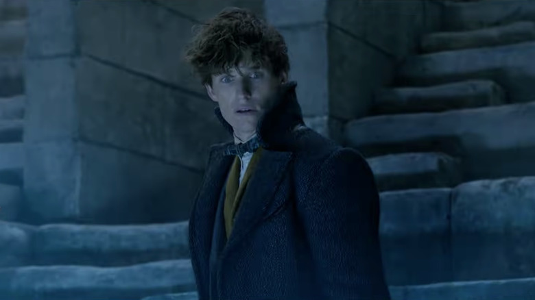 Newt witnessing Grindelwald's horror