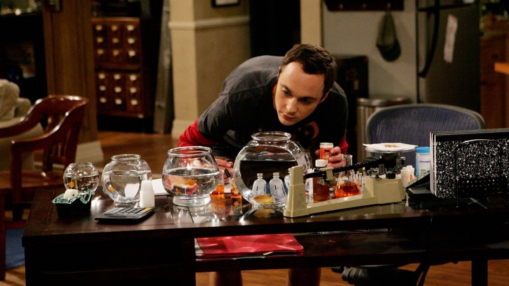 Sheldon experiments on his fish on The Big Bang Theory