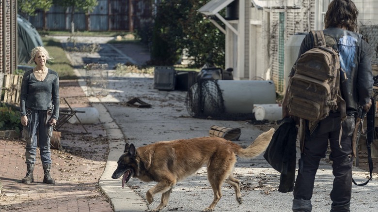 Daryl and Carol look at each other while Dog walks