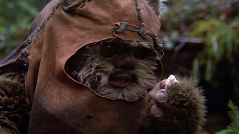 Wicket the Ewok