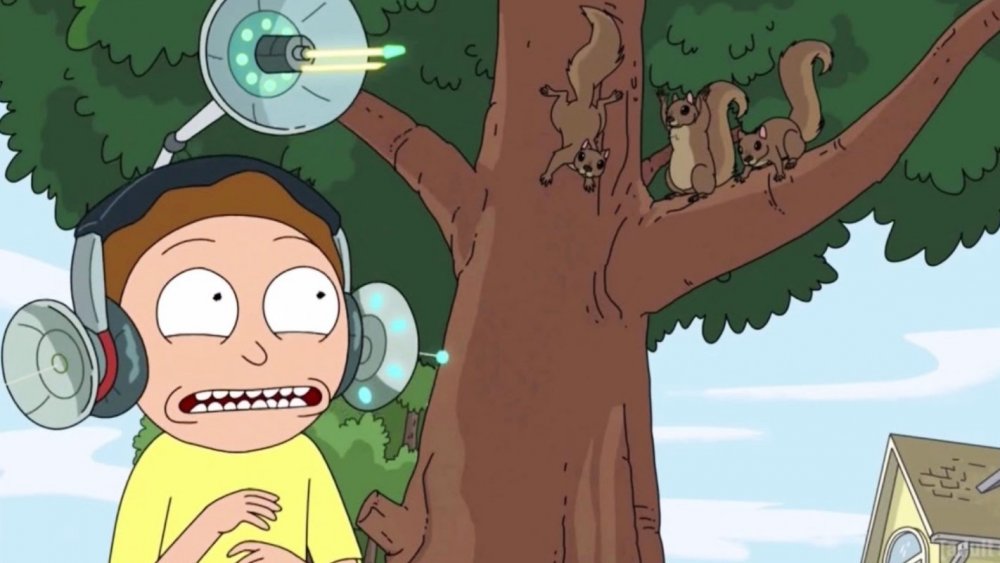 Morty and the squirrels