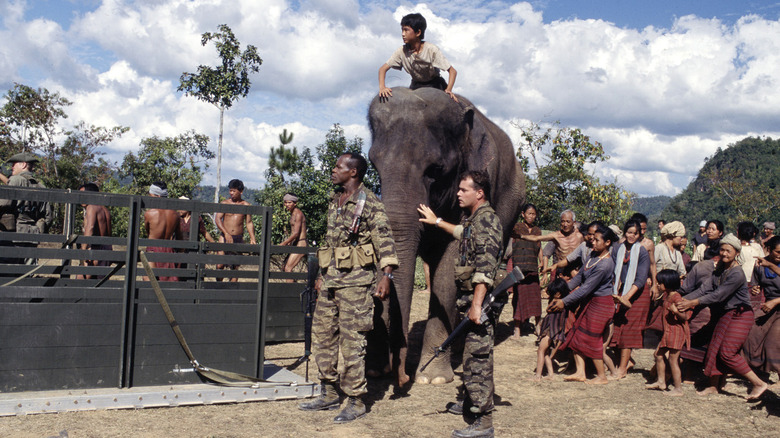 US troops escort an elephant