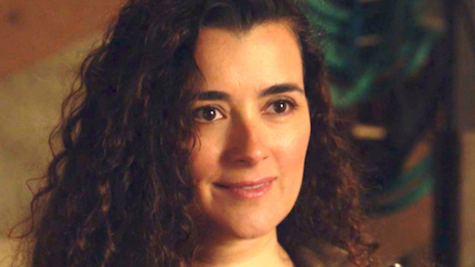 The Ziva Character Detail That Has NCIS Fans Scratching Their Heads