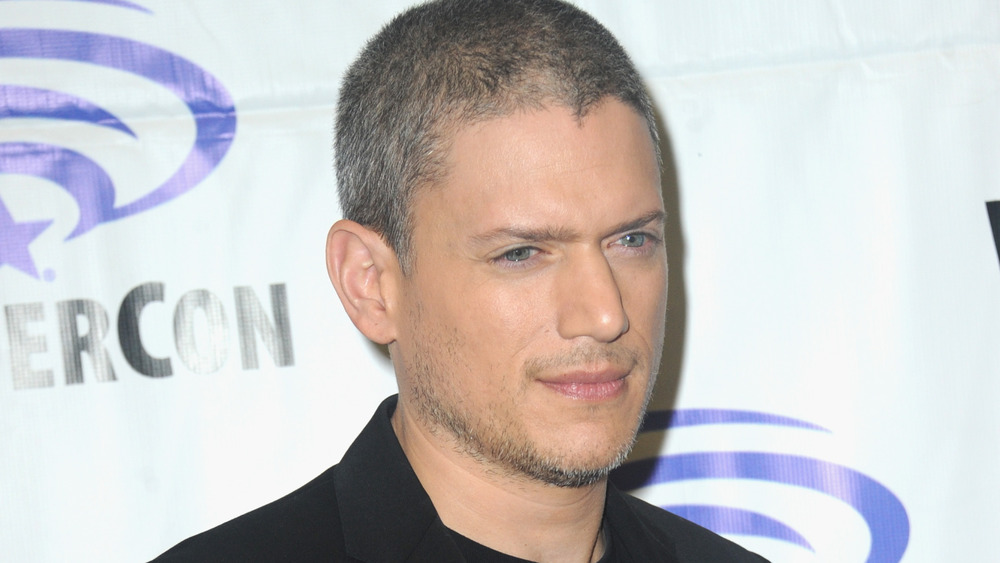 Wentworth Miller on the red carpet