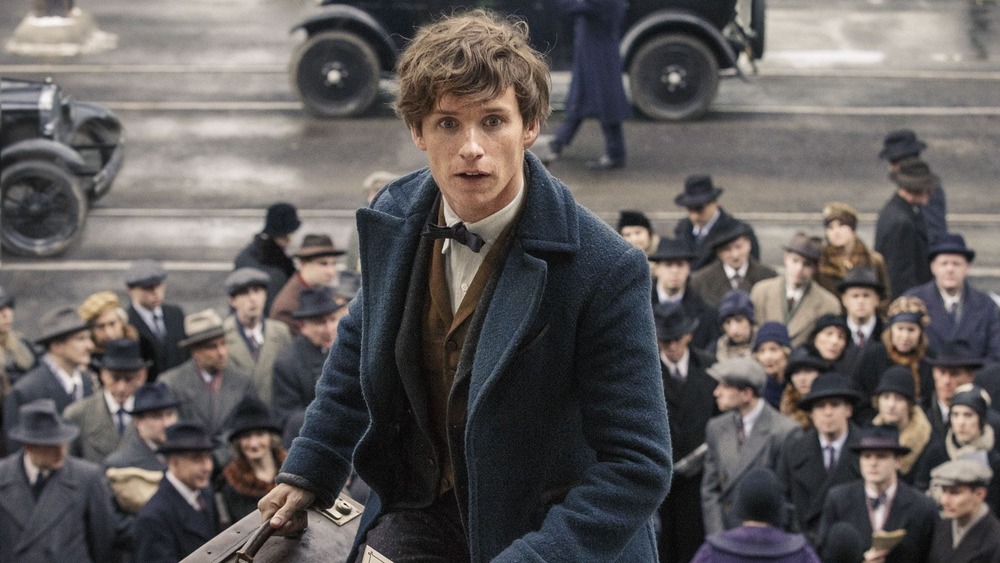 Newt Scamander smiling