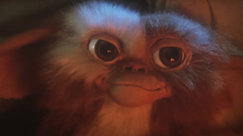 Gizmo from "Gremlins"