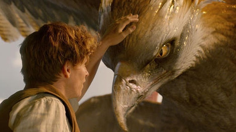 Newt pets hippogriff