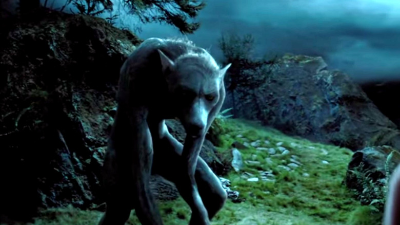 Werewolf transforms at night