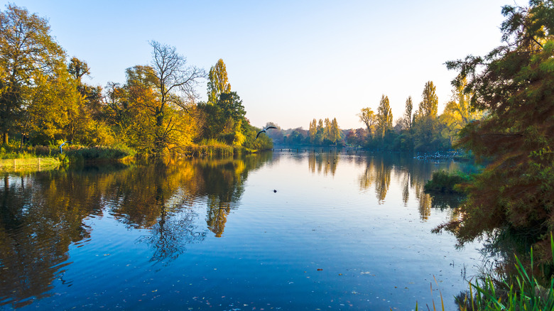 Serpentine at Hyde Park 