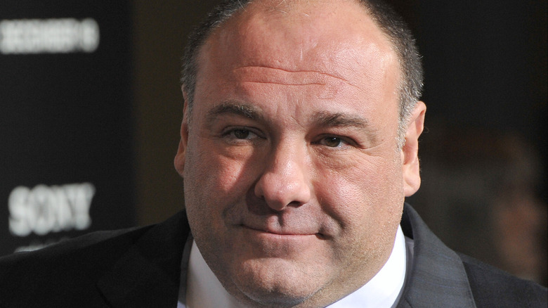 James Gandolfini smiles