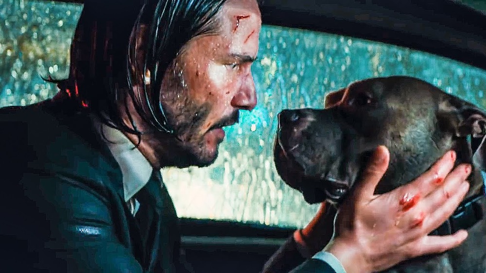 John Wick and his dog in John Wick: Chapter 3 – Parabellum