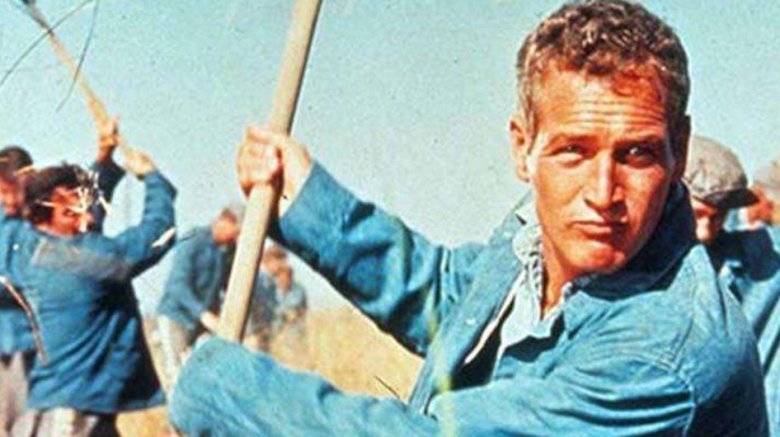 Paul Newman in Cool Hand Luke.