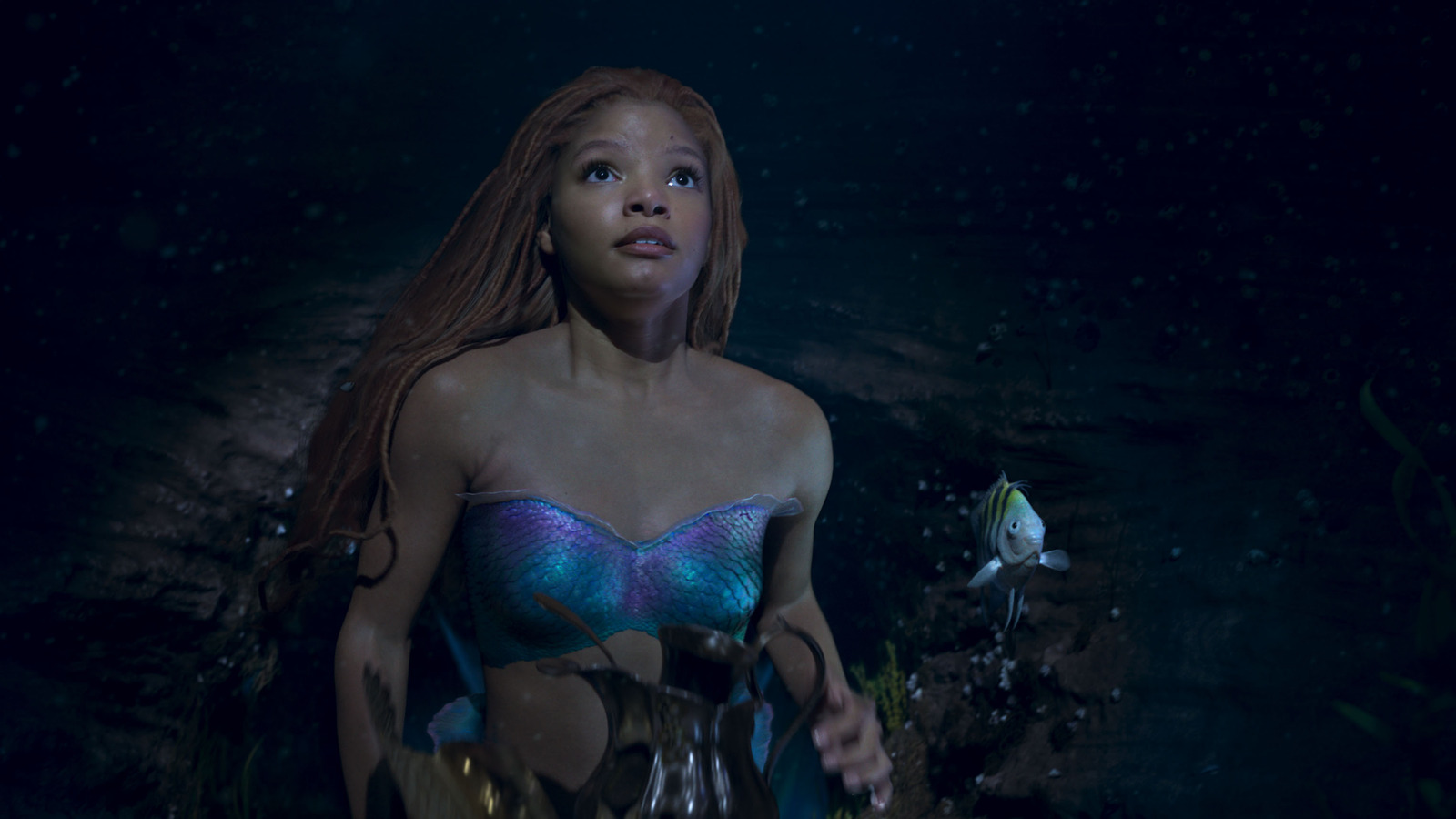The Little mermaid azaleasdolls in 2023