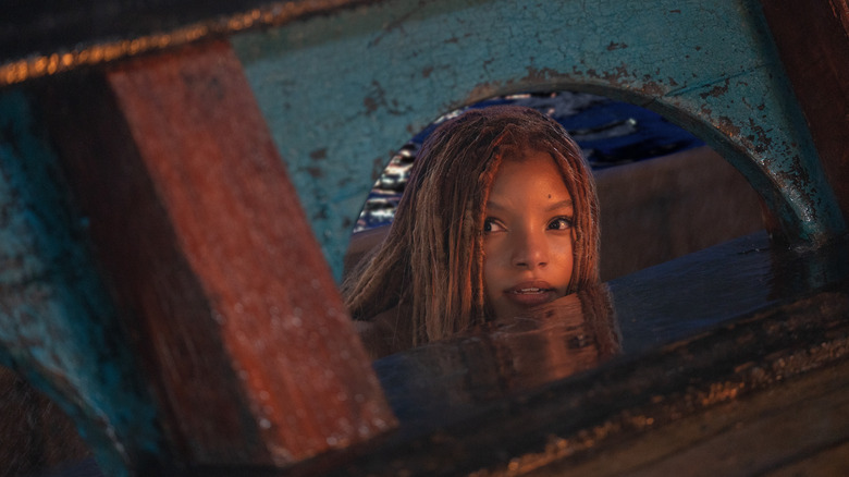 Ariel looking in the water