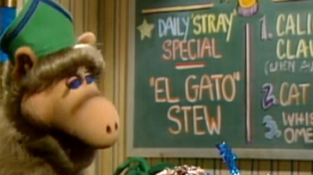 ALF speaks Spanish