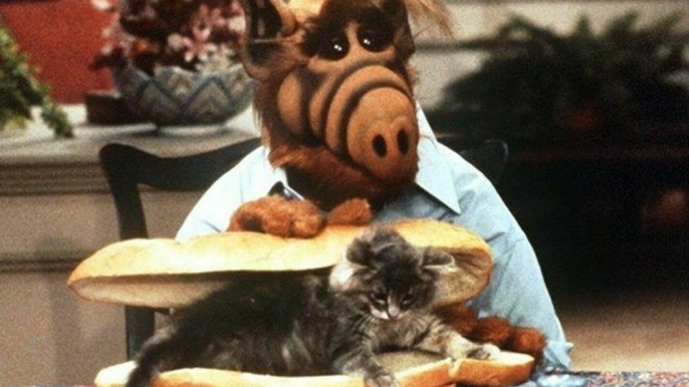 ALF makes a cat sandwich