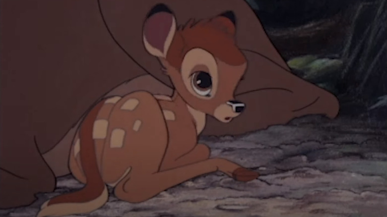 Bambi looking sleepy