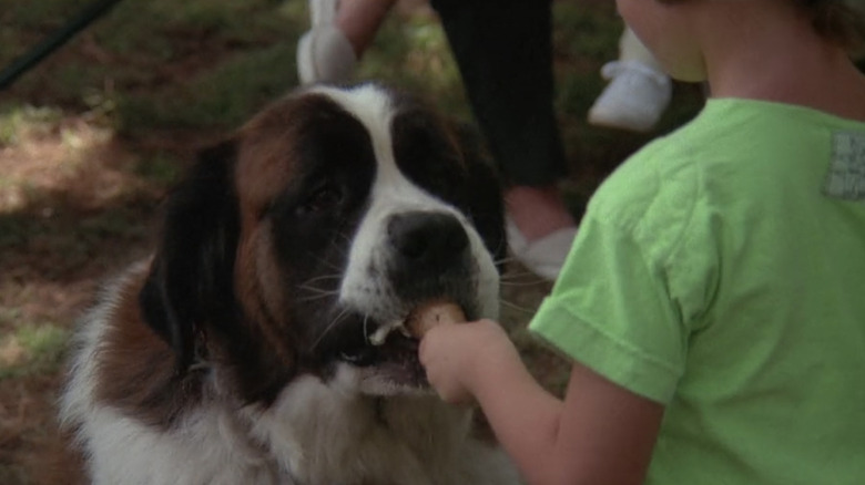 Beethoven eating ice cream