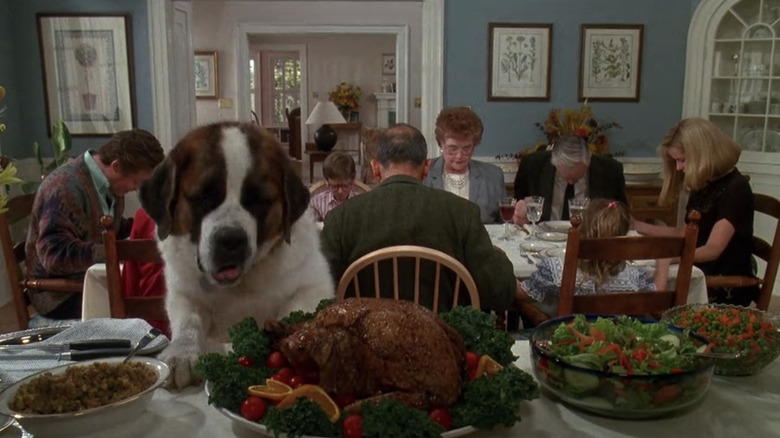 Beethoven eating turkey off table